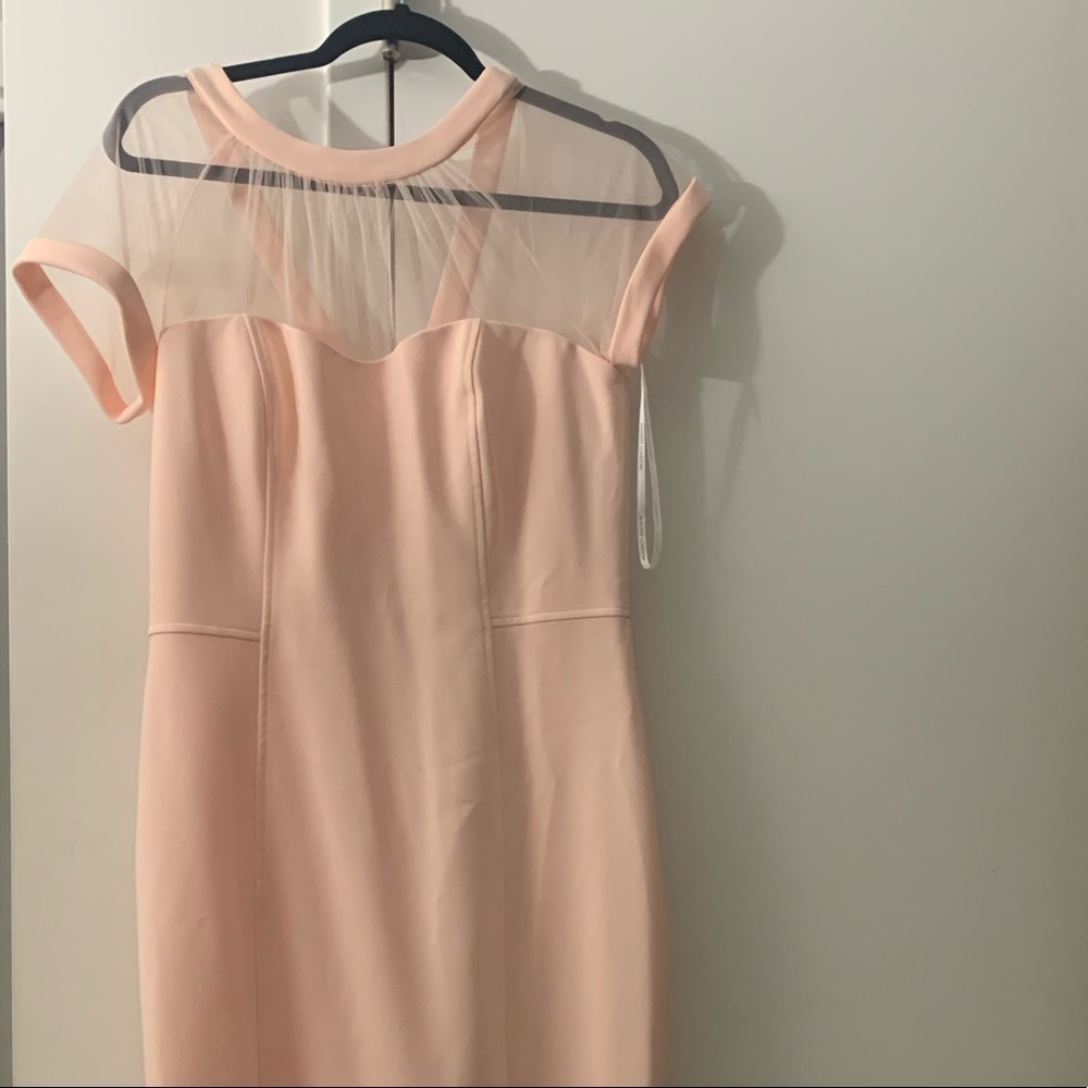 Pink Mesh dress